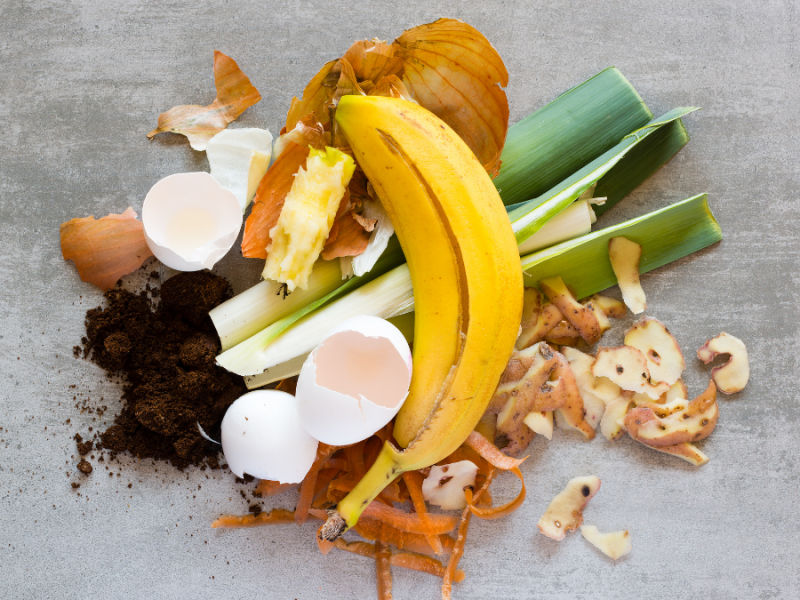 How to recycle food waste