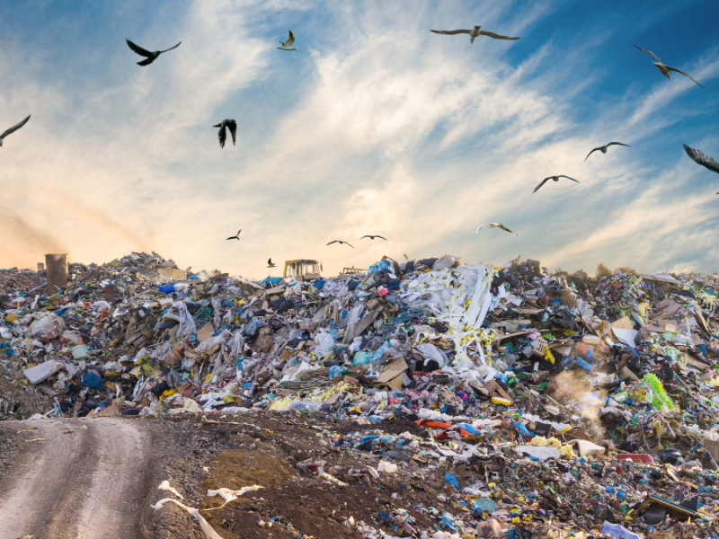 The Benefits of Recycling vs Landfilling