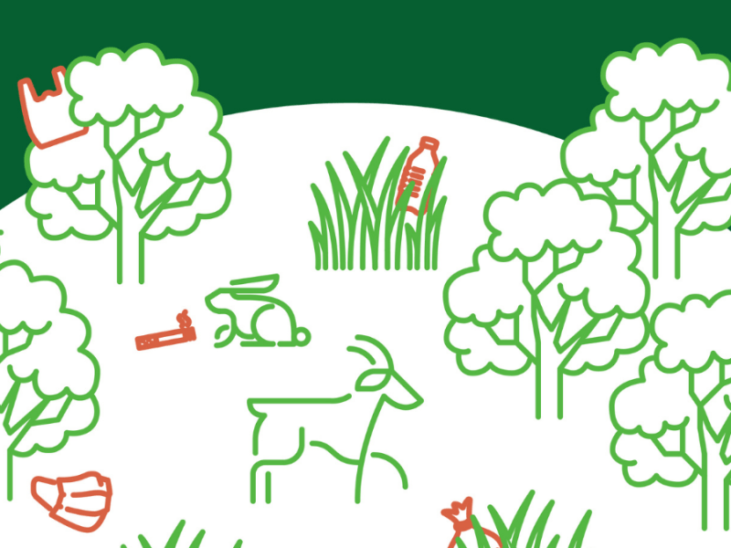 Recycle more to help the environment. Here’s how: