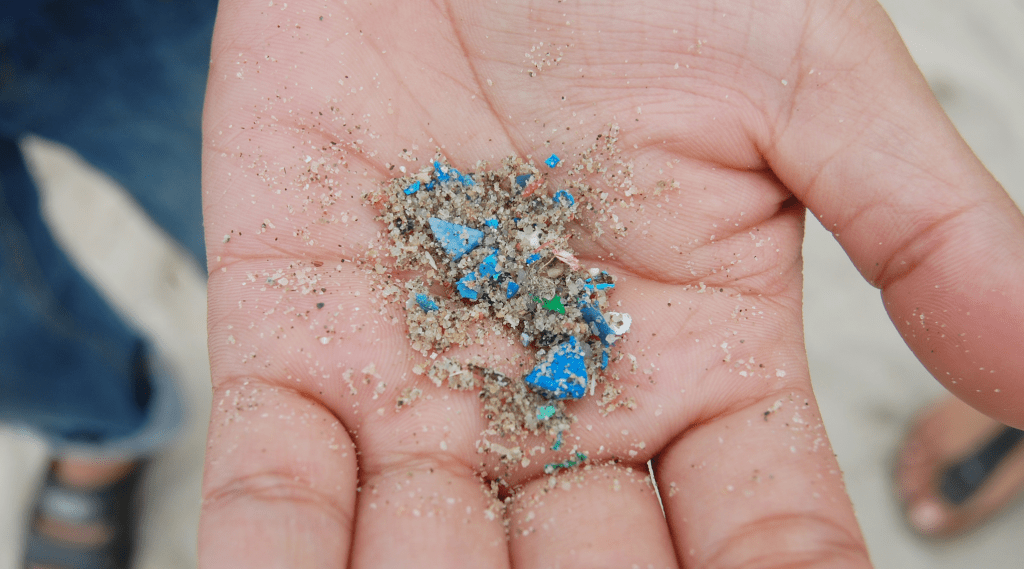 Person with Microplastics in Hand