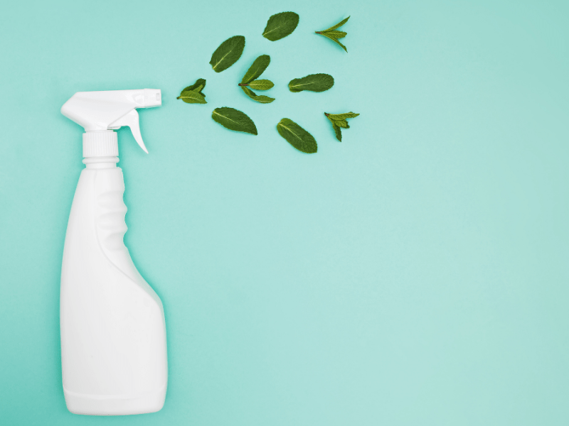 Spring Clean Your Bathroom Routine