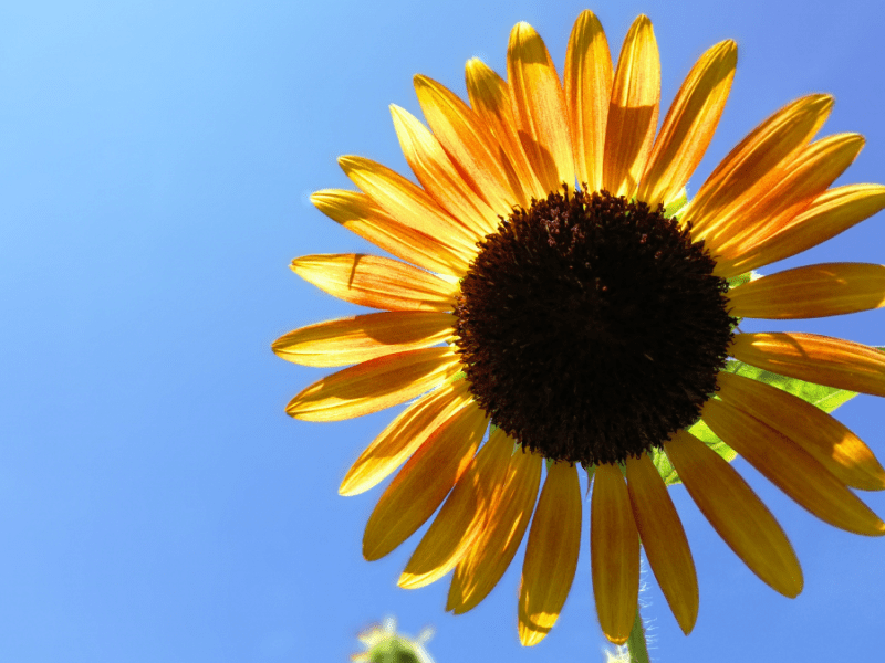 How to have a low-impact summer