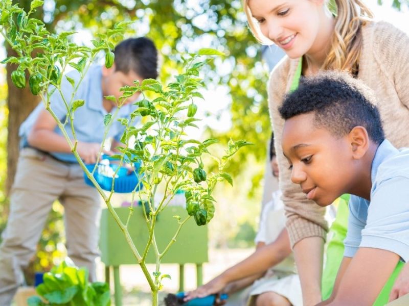 How to start the school year sustainably
