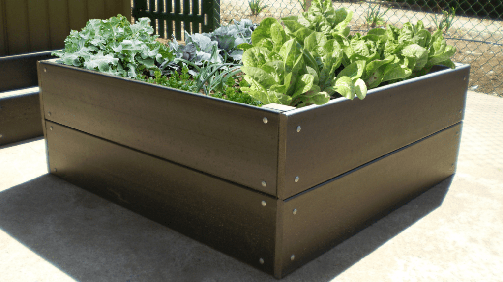 Raised vegetable garden made from recycled plastics with veggies growing inside.