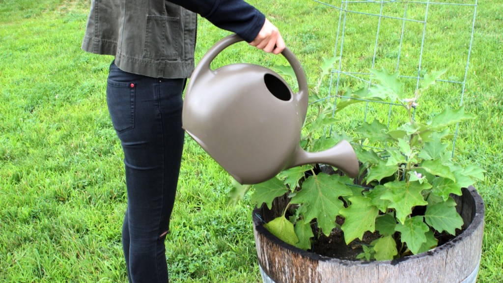 Person watering a plant with a watering can made from recycled plastics.
