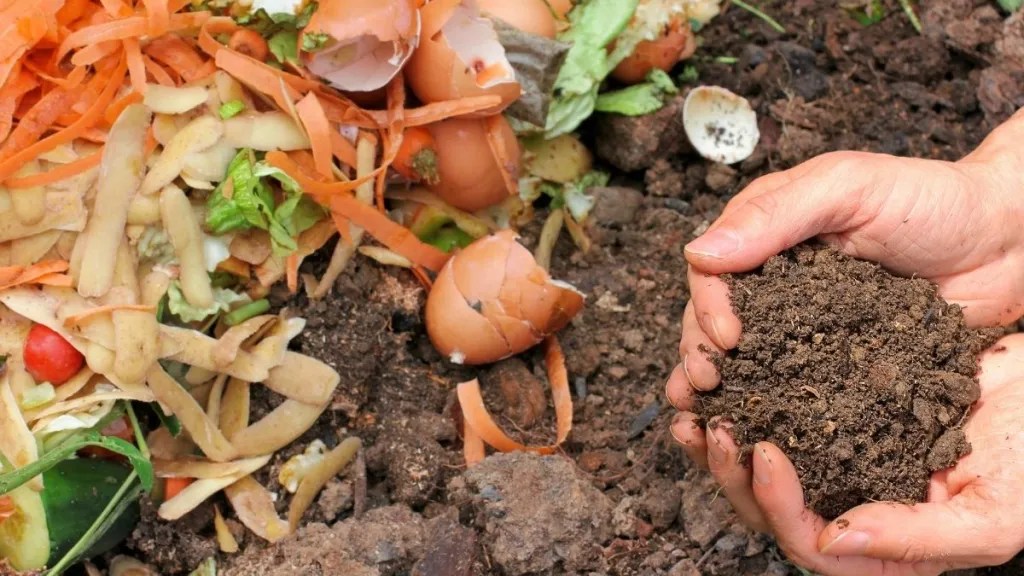 Hands holding soil next to food scraps to go in a home compost bin.